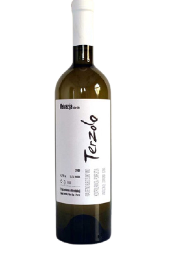 terzolo-malvazija-1